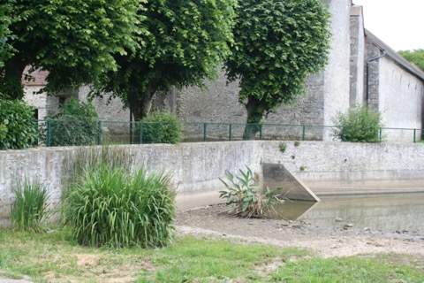 Élagueur Congerville-Thionville