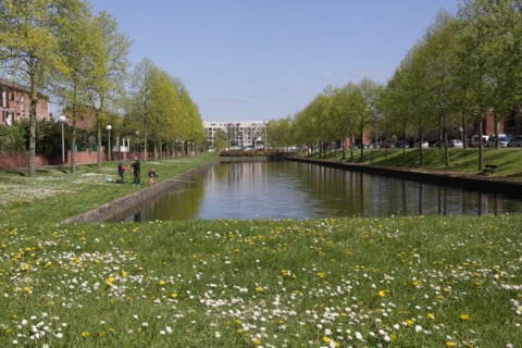 Élagueur Évry-Courcouronnes