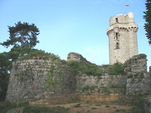 Élagueur Montlhéry