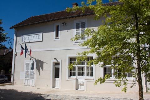 Élagueur Morsang-sur-Seine